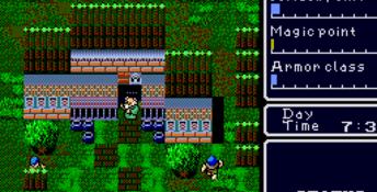 Super Hydlide Genesis Screenshot