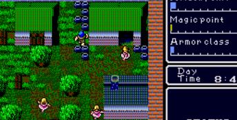 Super Hydlide Genesis Screenshot