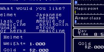 Super Hydlide Genesis Screenshot