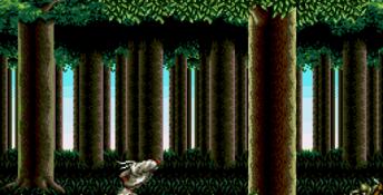 Super Shinobi 2