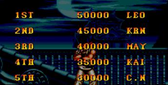 Super Street Fighter 2: The New Challengers
