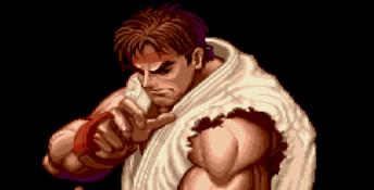 Super Street Fighter 2: The New Challengers