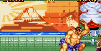 Super Street Fighter 2: The New Challengers