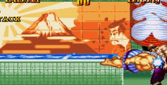 Super Street Fighter 2: The New Challengers Genesis Screenshot