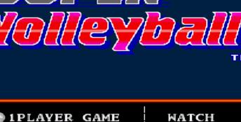 Super Volleyball Genesis Screenshot