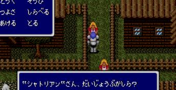 Sword of Vermilion Genesis Screenshot