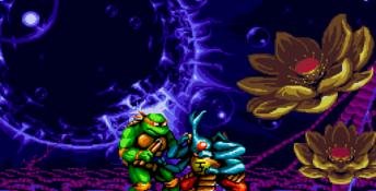 Teenage Mutant Hero Turtles: Tournament Fighters