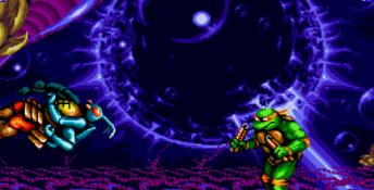 Teenage Mutant Hero Turtles: Tournament Fighters