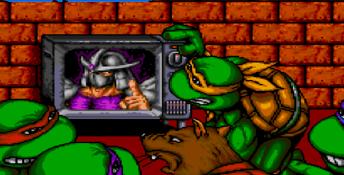Teenage Mutant Ninja Turtles: The Hyperstone Heist