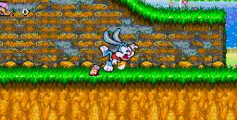 Tiny Toons: Buster's Hidden Treasure