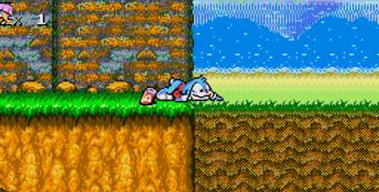 Tiny Toons: Buster's Hidden Treasure Genesis Screenshot