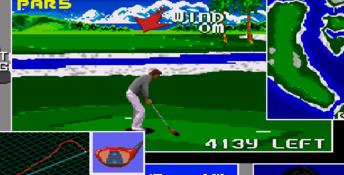 Top Pro Golf 2