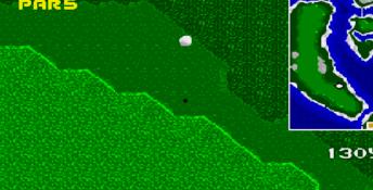 Top Pro Golf 2