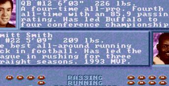 Unnecessary Roughness 95 Genesis Screenshot