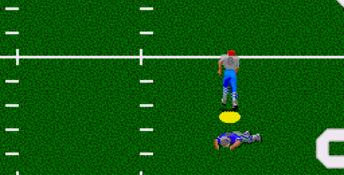 Unnecessary Roughness 95 Genesis Screenshot