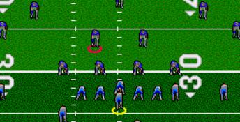 Unnecessary Roughness 95 Genesis Screenshot
