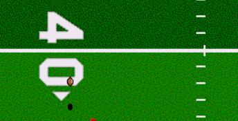 Unnecessary Roughness 95 Genesis Screenshot