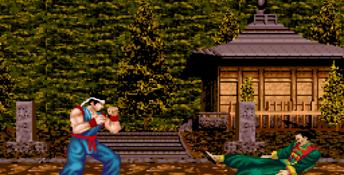 Virtua Fighter 2 Genesis Screenshot