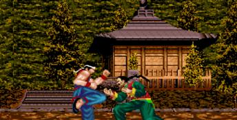 Virtua Fighter 2 Genesis Screenshot