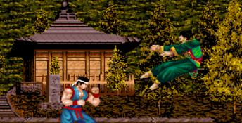 Virtua Fighter 2 Genesis Screenshot