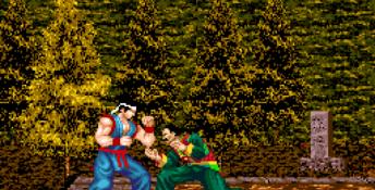 Virtua Fighter 2 Genesis Screenshot