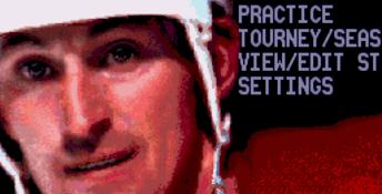 Wayne Gretzky NHLPA All-Stars Genesis Screenshot