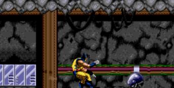 Wolverine Adamantium Rage