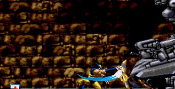 Wolverine Adamantium Rage
