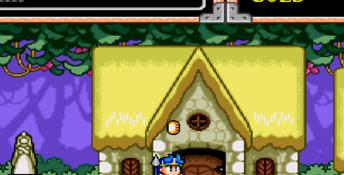 Wonderboy 5 Genesis Screenshot