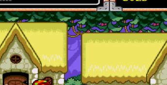 Wonderboy 5