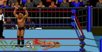 WWF Super Wrestlemania