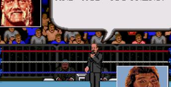 WWF Super Wrestlemania