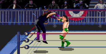 WWF Wrestlemania Arcade Genesis Screenshot
