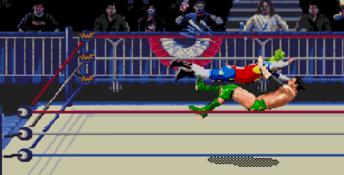 WWF Wrestlemania Arcade