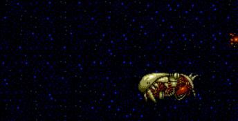 Zero Wing Genesis Screenshot