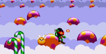 Zool