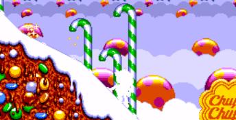 Zool