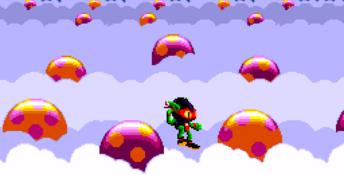 Zool