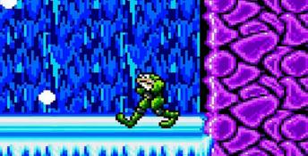 Battletoads GameGear Screenshot