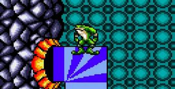 Battletoads GameGear Screenshot