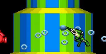 Battletoads GameGear Screenshot