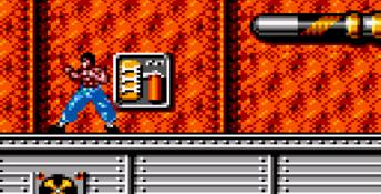 Dragon: The Bruce Lee Story GameGear Screenshot