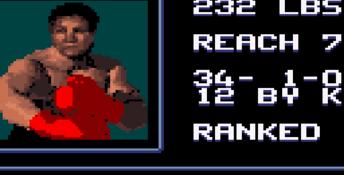 Foreman For Real GameGear Screenshot