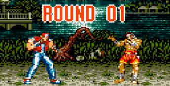 Garou Densetsu GameGear Screenshot