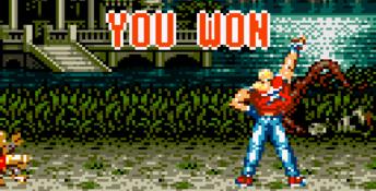 Garou Densetsu GameGear Screenshot