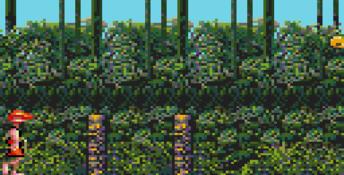 Greendog: The Beached Surfer Dude GameGear Screenshot