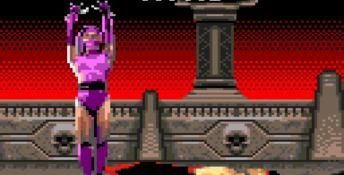 Mortal Kombat 2 GameGear Screenshot