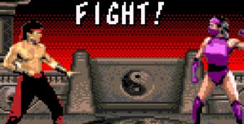 Mortal Kombat 2 GameGear Screenshot