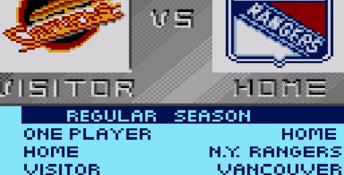 NHL All Star Hockey 95 GameGear Screenshot