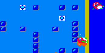 Pengo (1990) GameGear Screenshot